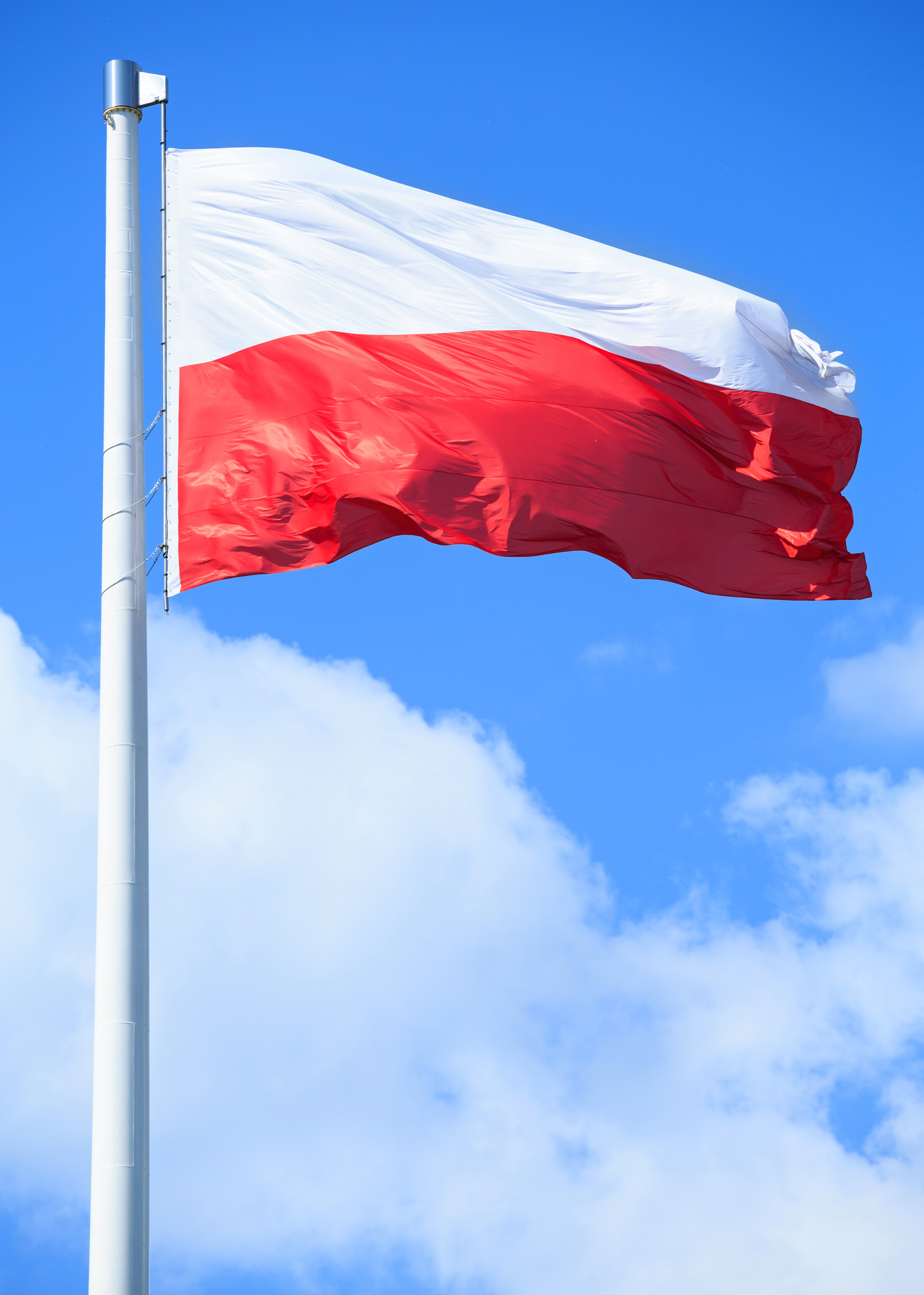 Flaga Polski.png