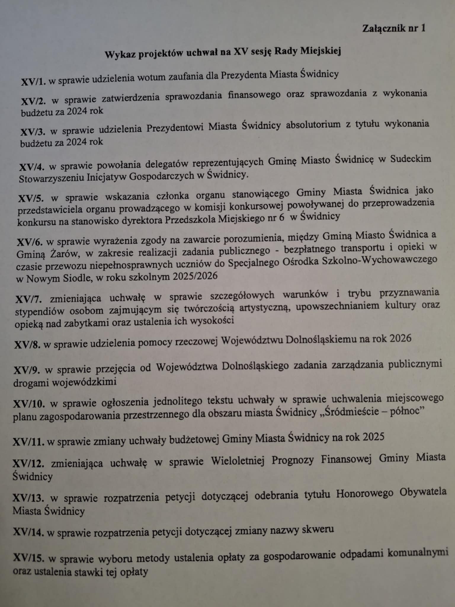 XV sesja RM w Świdnicy 2.jpg