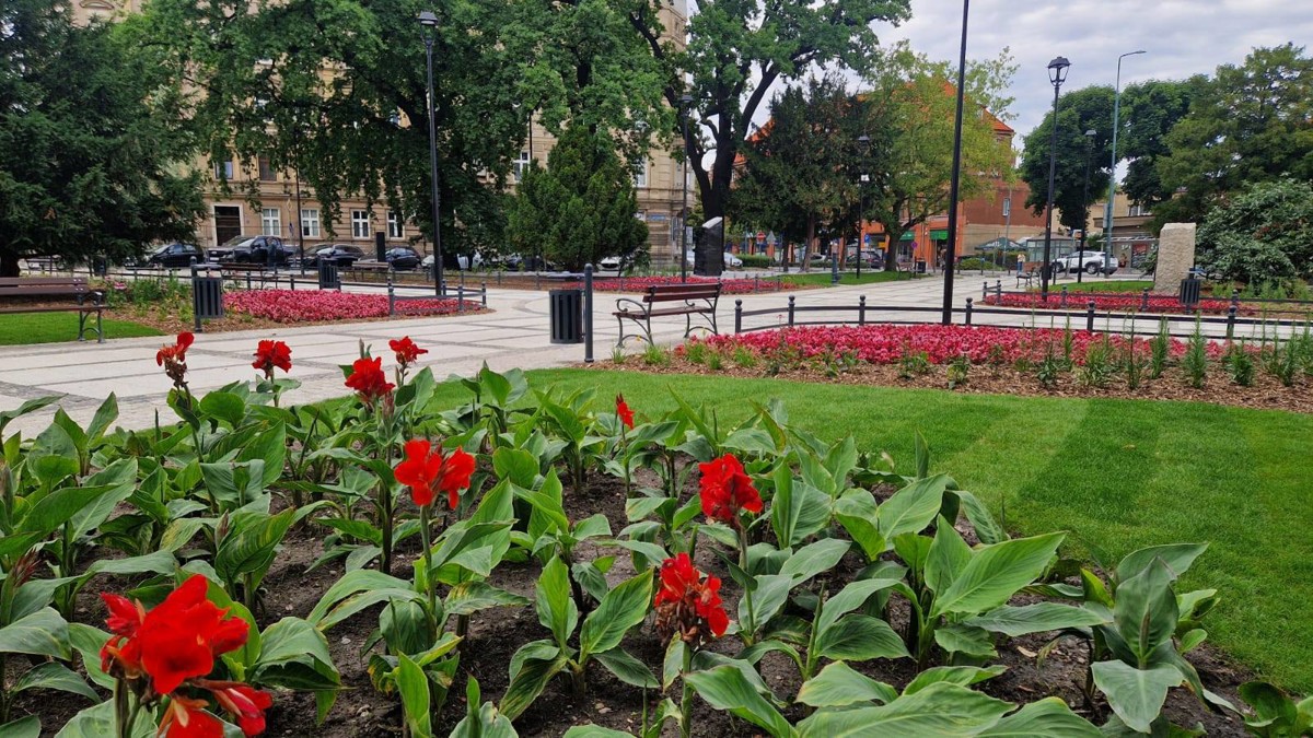 Odnowiony plac Grunwaldzki.jpg