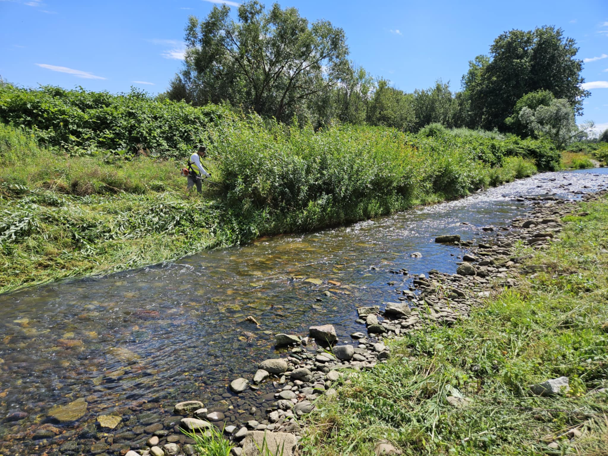 Prace porządkowe nad Bystrzycą.jpeg