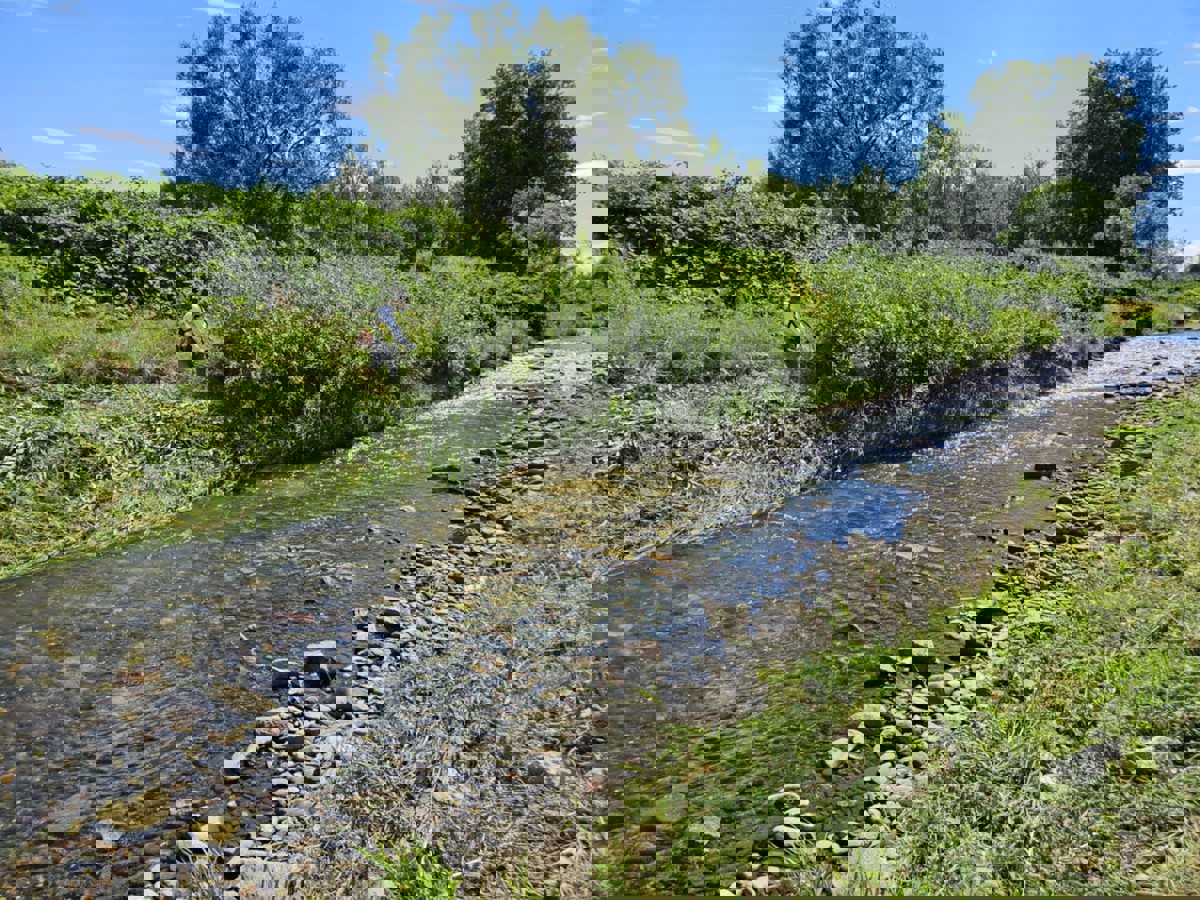 Prace porządkowe nad Bystrzycą.jpeg
