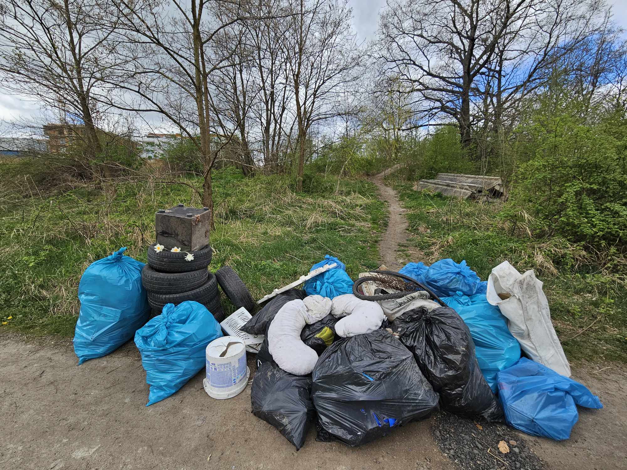 Prace społecznie użyteczne na terenie Świdnicy.jpg