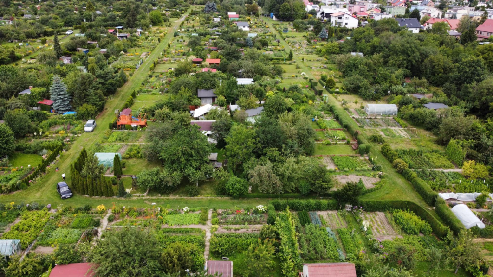 65 tys. zł dla ogrodów działkowych w Świdnicy. Trwa nabór wniosków.jpg