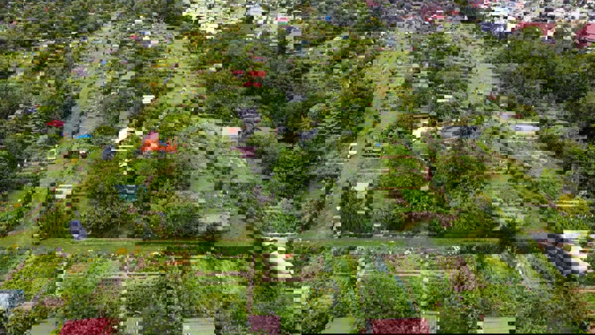 65 tys. zł dla ogrodów działkowych w Świdnicy. Trwa nabór wniosków.jpg