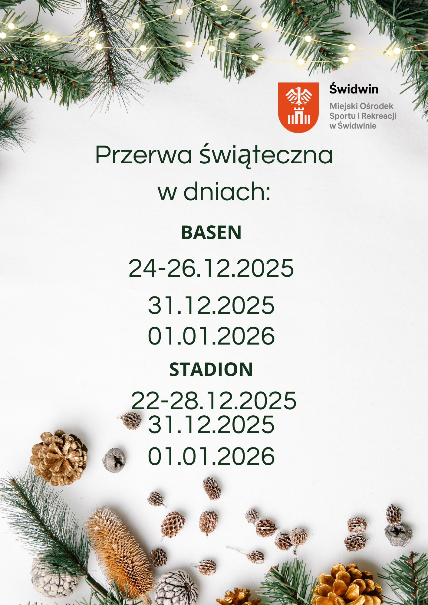 Green Modern Merry Christmas Flyer (7).png