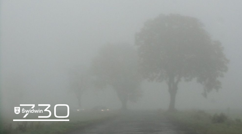 mgła.png