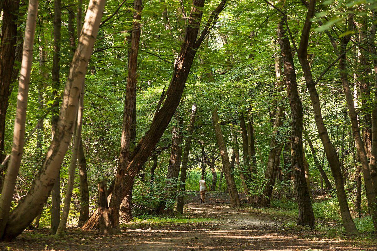 Przypominamy nieprzerwane wydawanie zaświadczeń.jpg