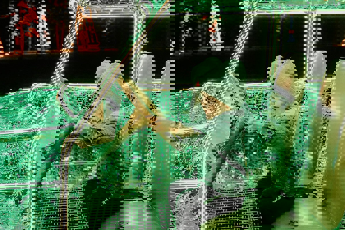 Lumina Park zagości w Świętochłowicach.jpg