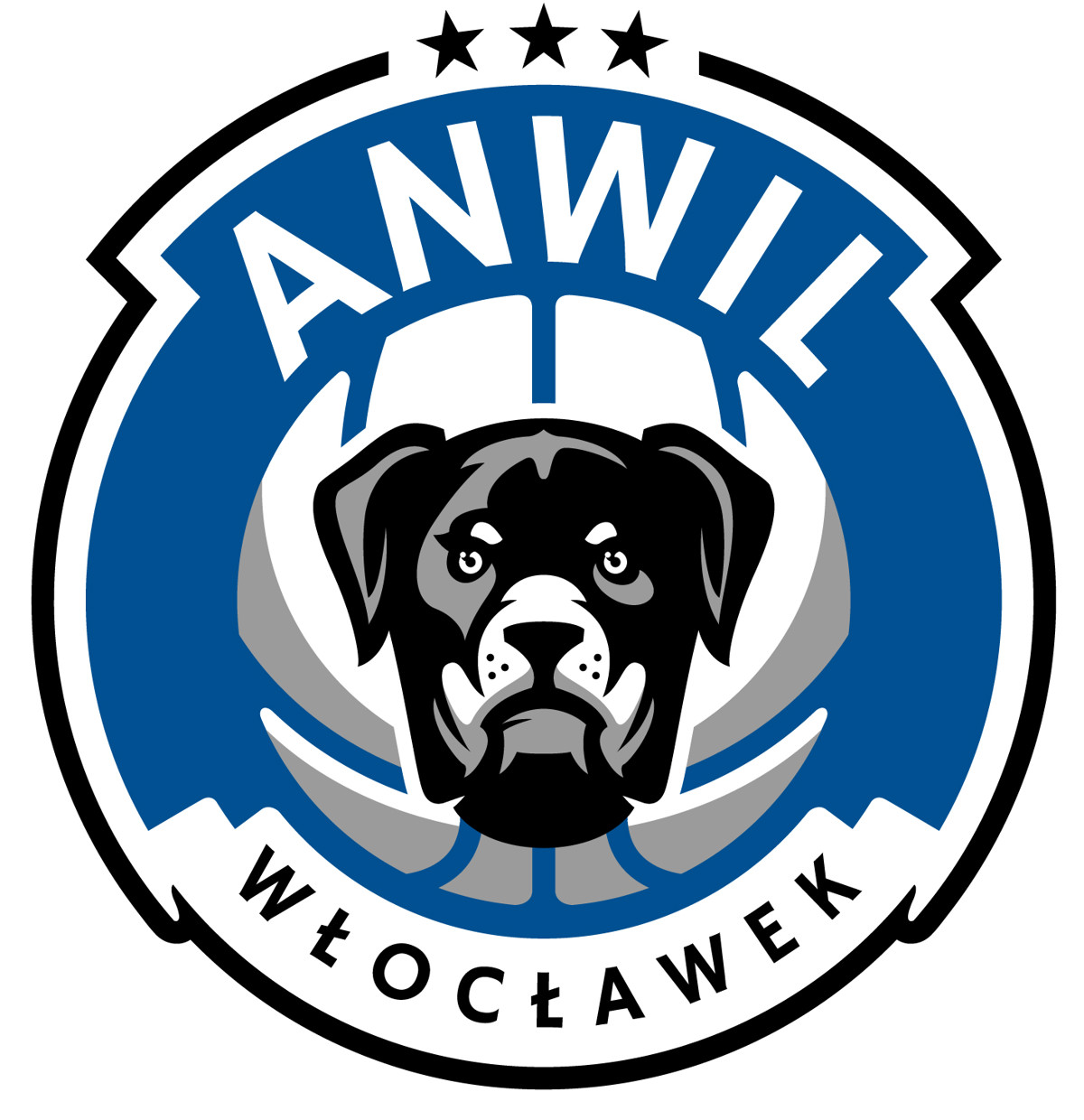 01_Anwil_Logo_Podstawowe_PelnyKolor_RGB.jpg