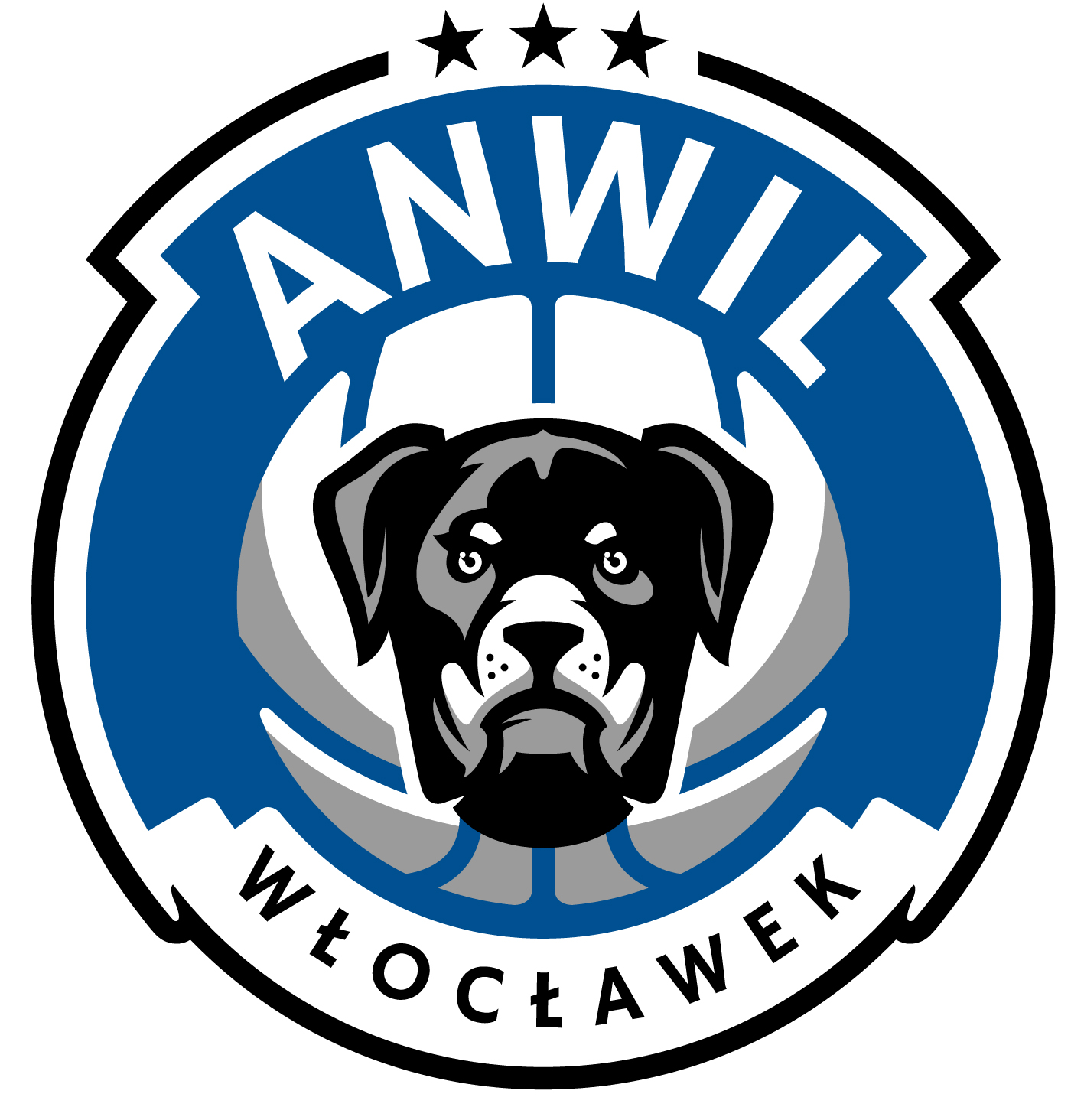 01_Anwil_Logo_Podstawowe_PelnyKolor_RGB (002).jpg