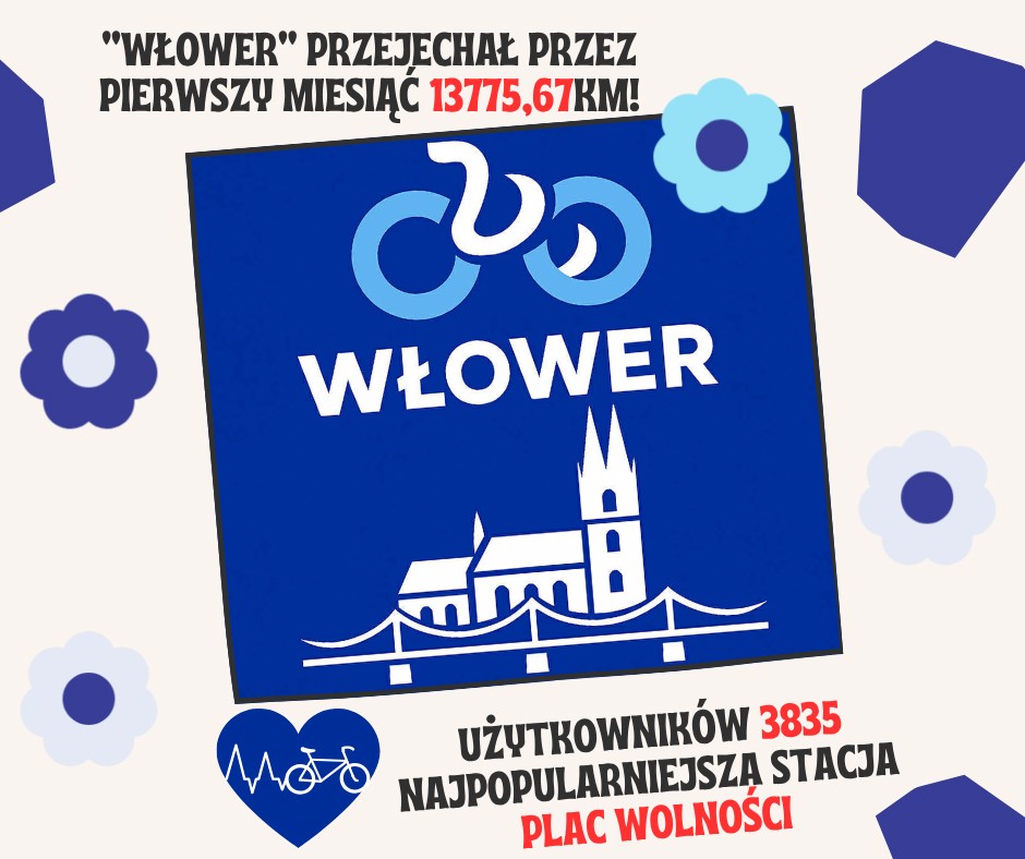 włower pierwszy miesiąc.png