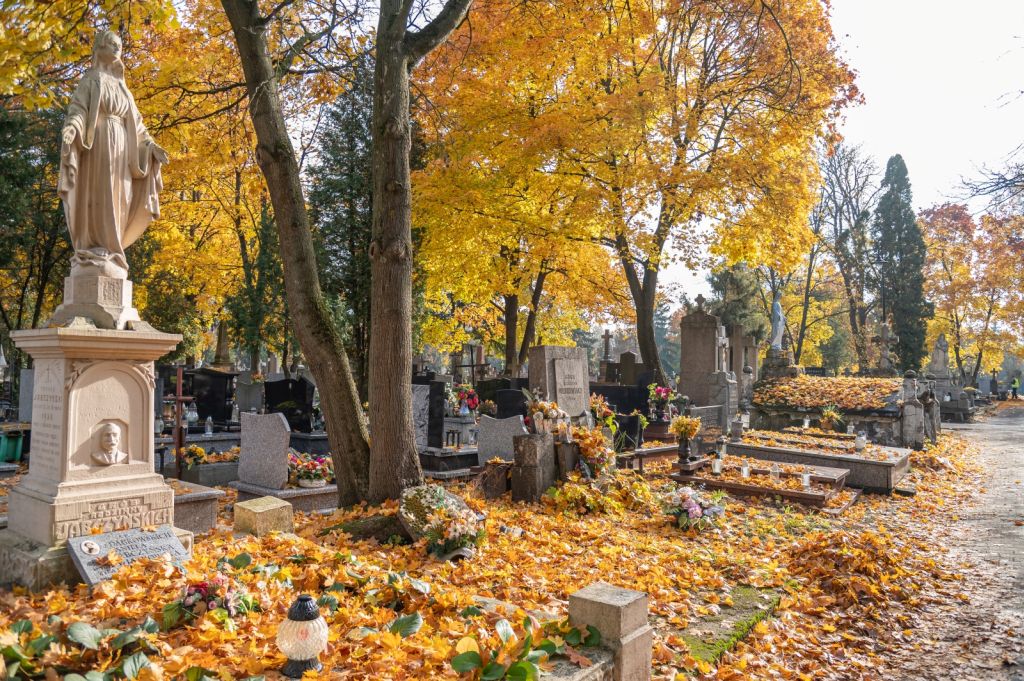 cmentarz jesienny1ok.jpg