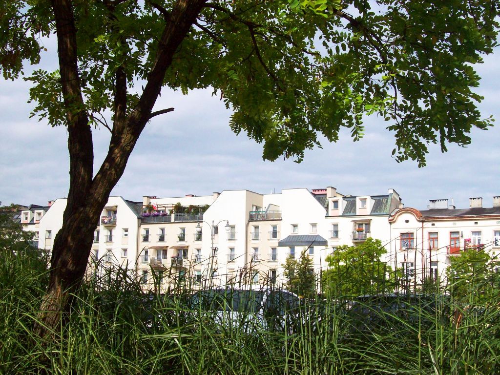 zielone tereny śródmieścia zielony rynek.jpg