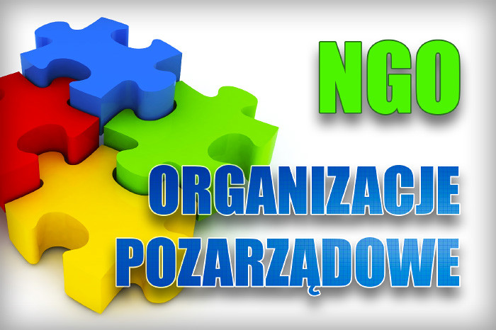 organizacje pozarządowe grafika.jpg