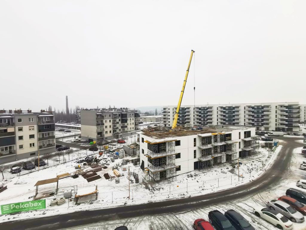 celulozowa budowa bloku luty ok.jpg