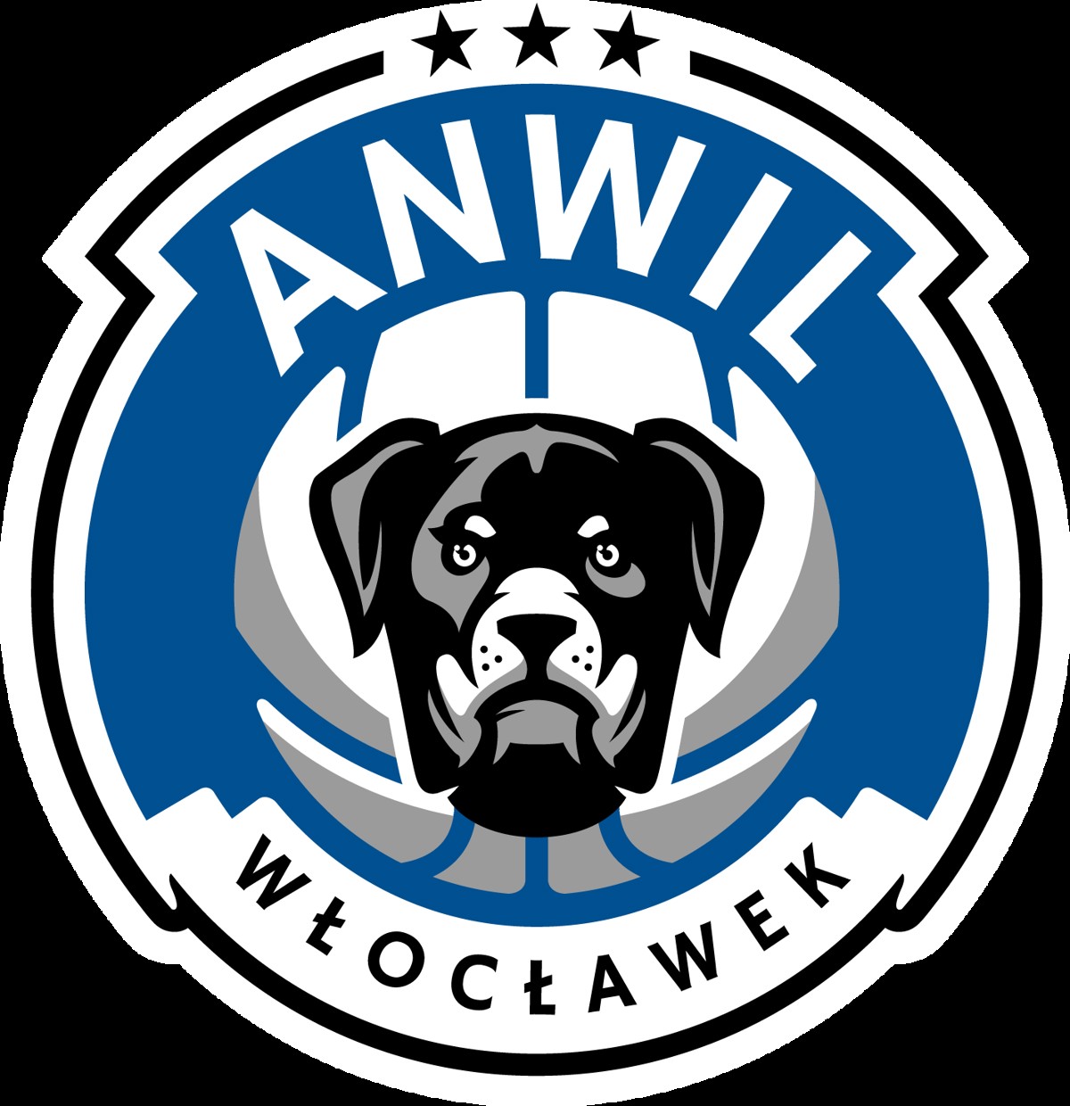Anwil Włocławek.png