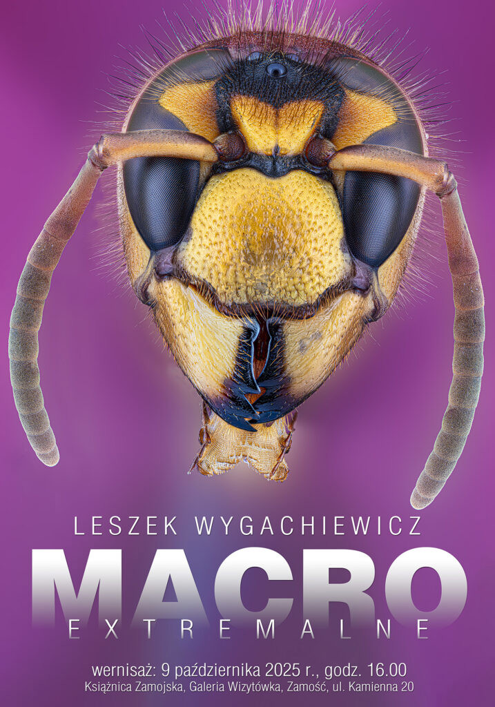 plakat-3-data-1-717x1024.jpg