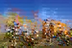 rss.png