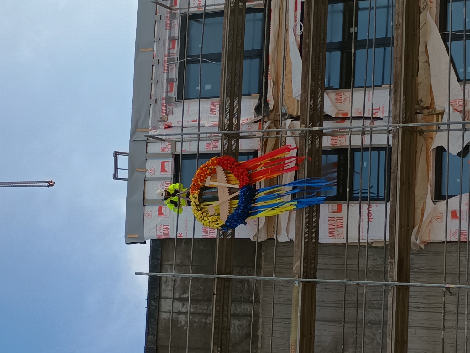 IMG_20251125_102011 1_a.jpg