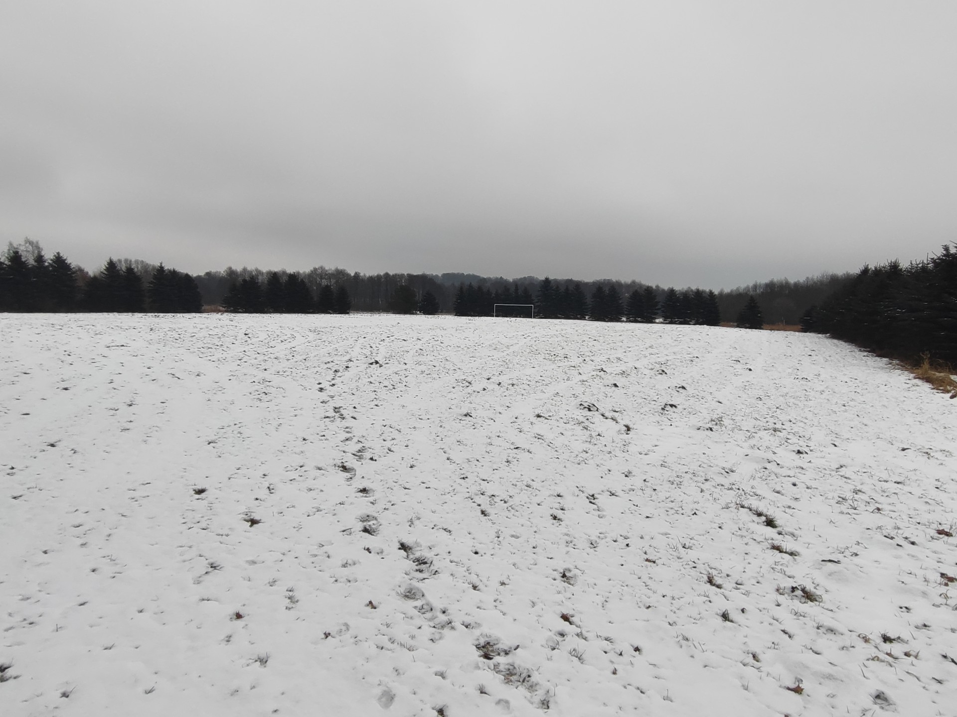 Boisko sportowe w sołectwie Bobrowo wymaga ogrodzenia.jpg